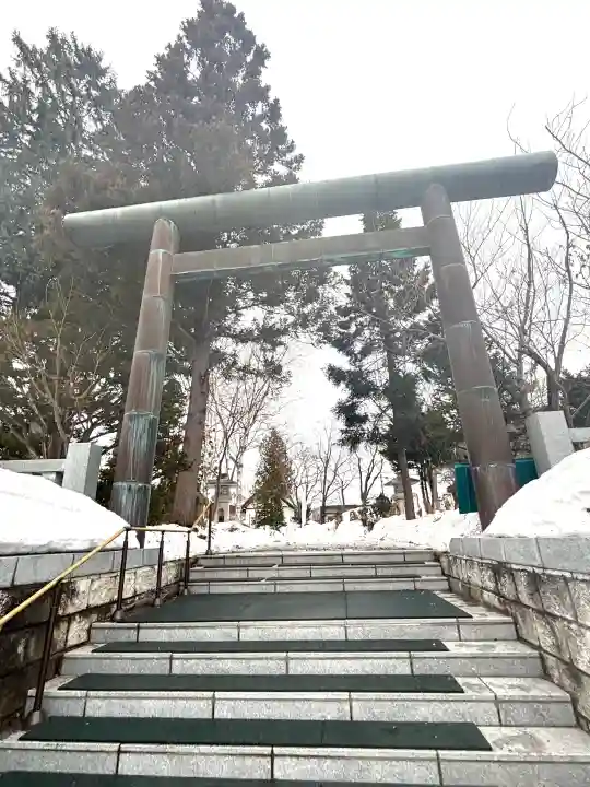 西野神社の{uncategorized: "未分類", other: "その他", undefined: "問題あり", building: "その他建物", grave: "お墓", sacred_gate: "鳥居", guardian: "狛犬", statue: "像", buddha: "仏像", history: "歴史", nature: "自然", garden: "庭園", animal: "動物", pagoda: "塔", temizu: "手水舎", mountain_gate: "山門・神門", sanctuary: "本殿・本堂", subordinate: "末社・摂社", art: "芸術", scenery: "景色", jizo: "地蔵", ema: "絵馬", goshuin: "御朱印", omikuji: "おみくじ", items: "授与品その他", amulet: "お守り", goshuincho: "御朱印帳", eats: "食事", festival: "お祭り", votive_dance: "神楽", shichigosan: "七五三参", wedding: "結婚式", experience: "体験その他", initially: "初詣", around: "周辺", anti_infection: "感染症対策"}