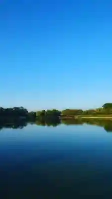 秋葉神社の周辺