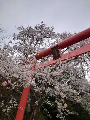 隅田八幡神社(和歌山県)