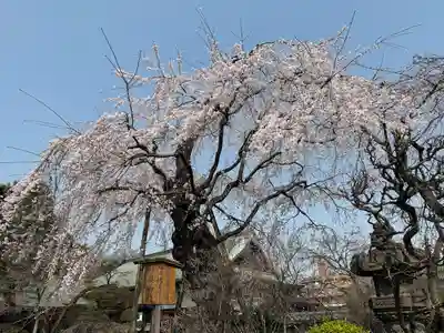 喜多院(埼玉県)