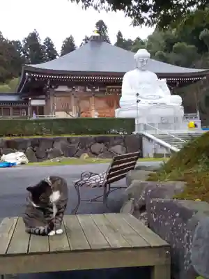 御誕生寺（猫寺）(福井県)