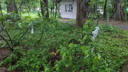 留萌神社のおみくじ