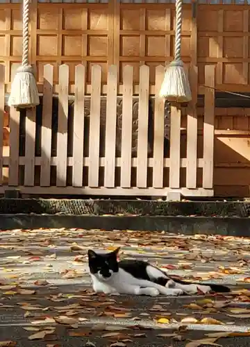 愛宕神社(福島県)