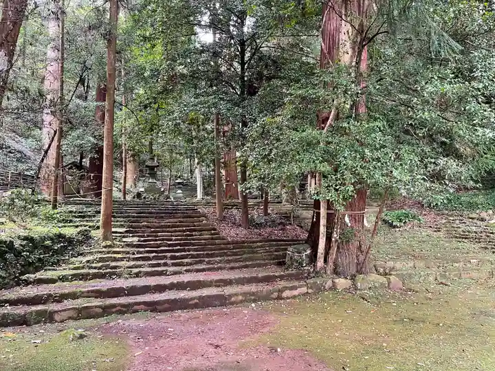八幡宮來宮神社の自然