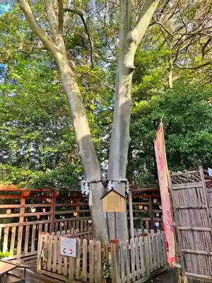 琴崎八幡宮(山口県)