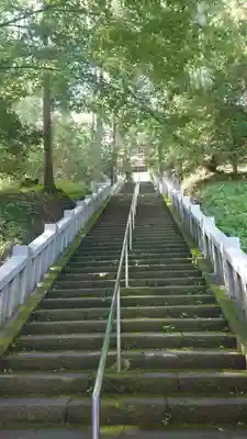 達磨寺(群馬県)