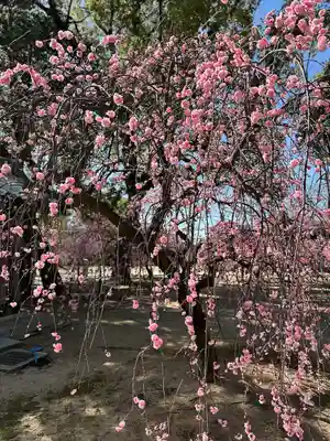 屯倉神社(大阪府)