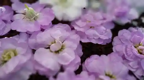 阿邪訶根神社(福島県)