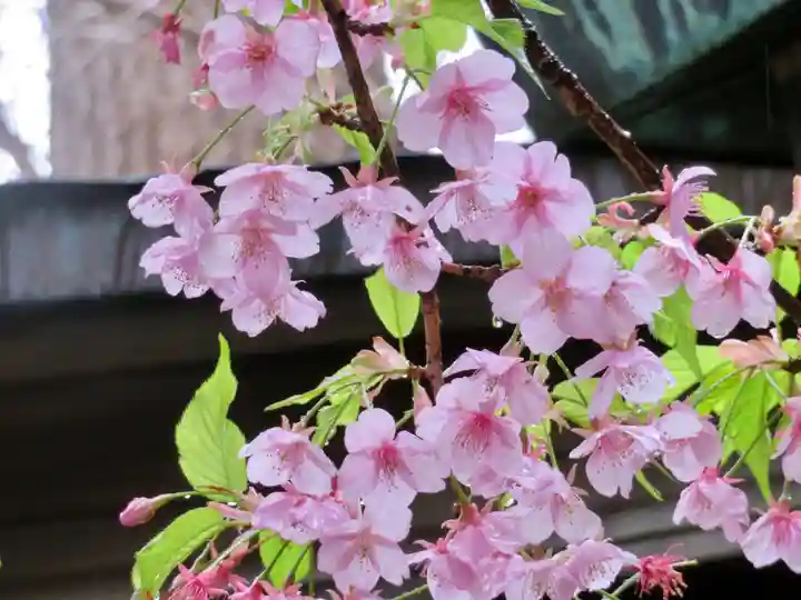 小野照崎神社の自然
