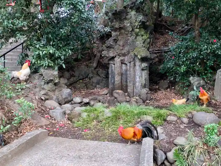 谷保天満宮の動物