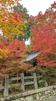 鍬山神社(京都府)