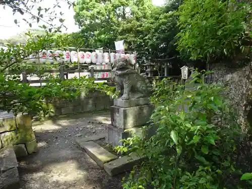 三柱神社の狛犬