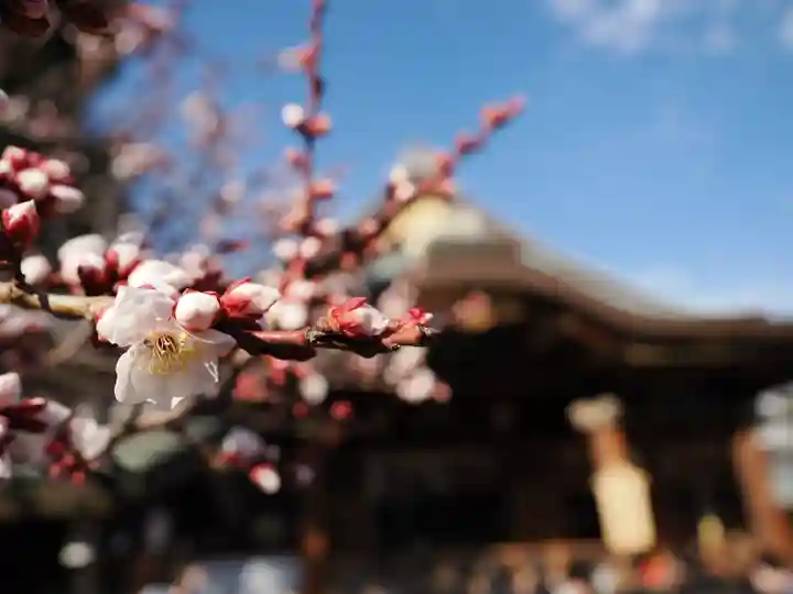 湯島天満宮(東京都)