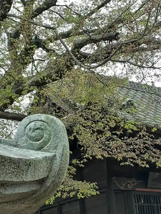 伏木香取神社のその他建物