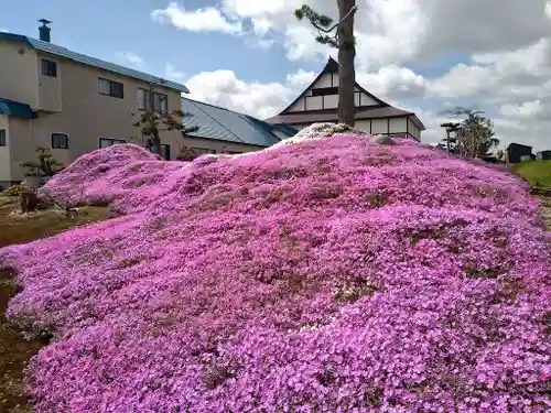 雨竜　専福寺(北海道)