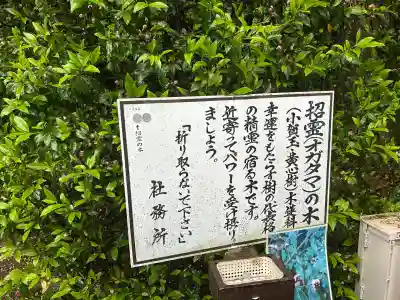 息栖神社の{uncategorized: "未分類", other: "その他", undefined: "問題あり", building: "その他建物", grave: "お墓", sacred_gate: "鳥居", guardian: "狛犬", statue: "像", buddha: "仏像", history: "歴史", nature: "自然", garden: "庭園", animal: "動物", pagoda: "塔", temizu: "手水舎", mountain_gate: "山門・神門", sanctuary: "本殿・本堂", subordinate: "末社・摂社", art: "芸術", scenery: "景色", jizo: "地蔵", ema: "絵馬", goshuin: "御朱印", omikuji: "おみくじ", items: "授与品その他", amulet: "お守り", goshuincho: "御朱印帳", eats: "食事", festival: "お祭り", votive_dance: "神楽", shichigosan: "七五三参", wedding: "結婚式", experience: "体験その他", initially: "初詣", around: "周辺", anti_infection: "感染症対策"}