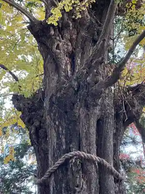 鞆江神社(明地)(愛知県)
