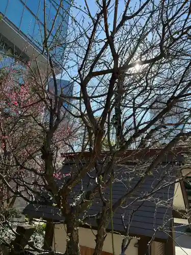  六本木天祖神社(東京都)