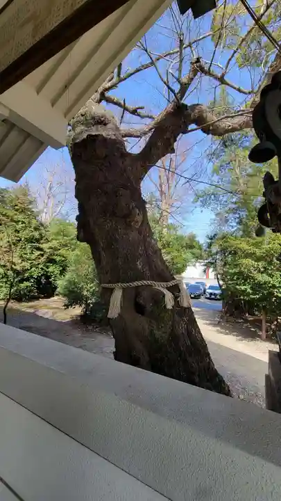 稗田神社(兵庫県)