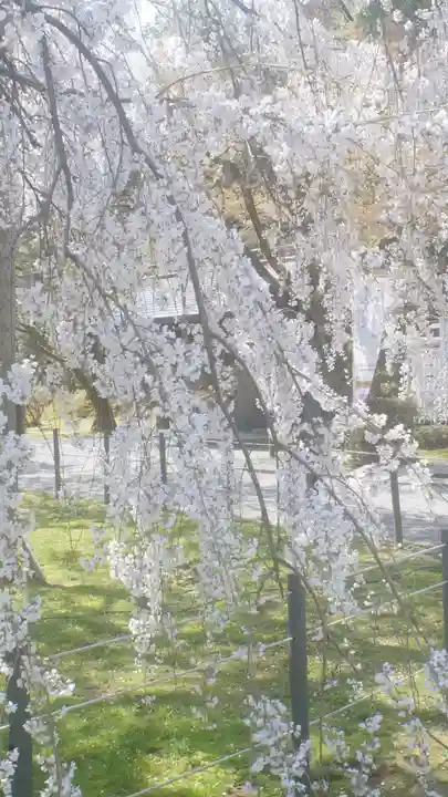 足羽神社(福井県)