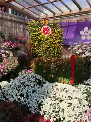 亀戸天神社の建物その他