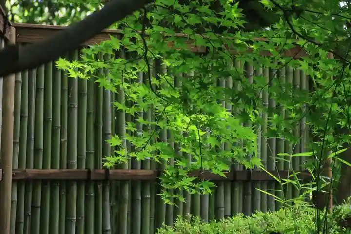 神炊館神社 ⁂奥州須賀川総鎮守⁂の庭園