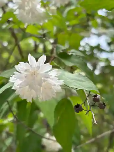 住吉大社の自然