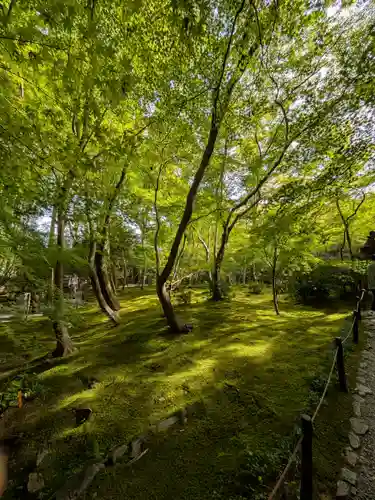 祇王寺(京都府)