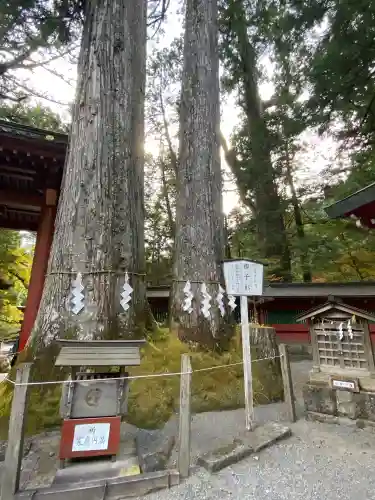 日光二荒山神社(栃木県)