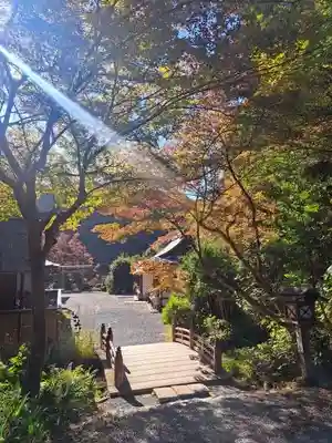 日向大神宮(京都府)