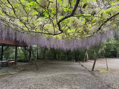 唐澤山神社の{uncategorized: "未分類", other: "その他", undefined: "問題あり", building: "その他建物", grave: "お墓", sacred_gate: "鳥居", guardian: "狛犬", statue: "像", buddha: "仏像", history: "歴史", nature: "自然", garden: "庭園", animal: "動物", pagoda: "塔", temizu: "手水舎", mountain_gate: "山門・神門", sanctuary: "本殿・本堂", subordinate: "末社・摂社", art: "芸術", scenery: "景色", jizo: "地蔵", ema: "絵馬", goshuin: "御朱印", omikuji: "おみくじ", items: "授与品その他", amulet: "お守り", goshuincho: "御朱印帳", eats: "食事", festival: "お祭り", votive_dance: "神楽", shichigosan: "七五三参", wedding: "結婚式", experience: "体験その他", initially: "初詣", around: "周辺", anti_infection: "感染症対策"}