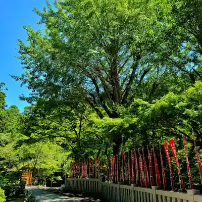 尊永寺(静岡県)