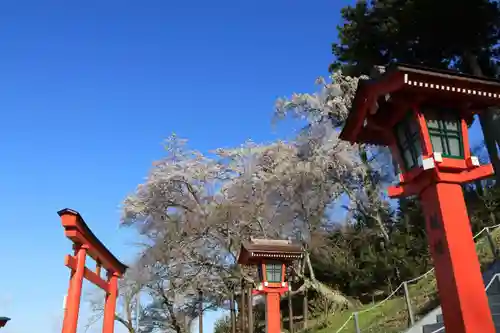 高屋敷稲荷神社の景色