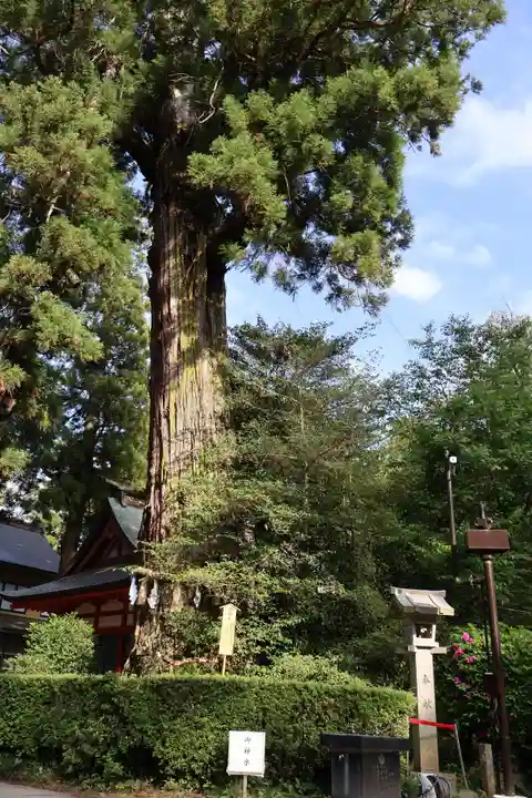 香取神宮(千葉県)