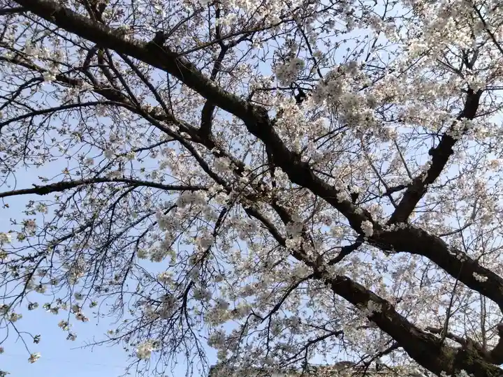 満願寺(京都府)