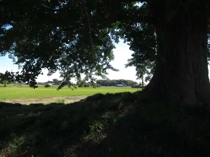 浄雲寺(茨城県)