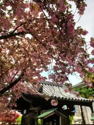 荘厳寺(東京都)