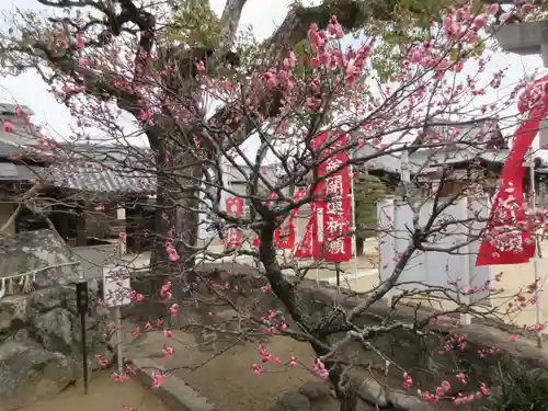 長尾天神宮(香川県)