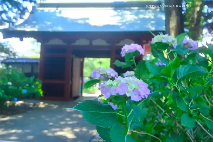 仙波東照宮(埼玉県)