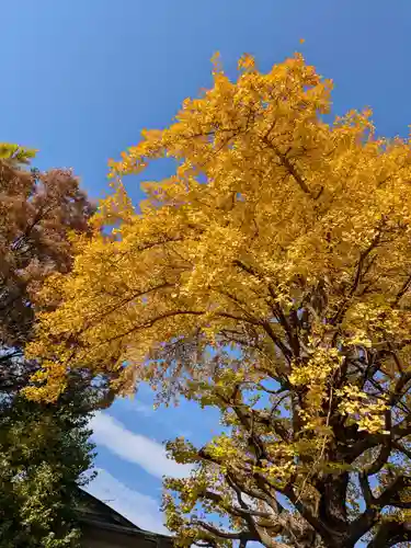 仙寿院(東京都)
