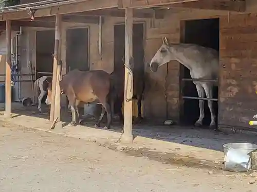 小室浅間神社(山梨県)