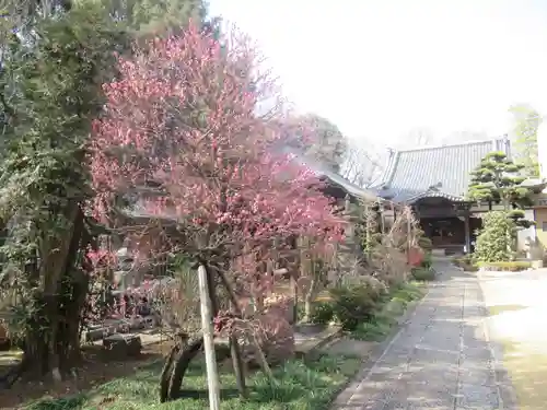 龍福寺(東京都)