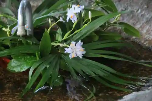 愛宕神社の手水舎