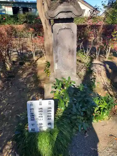 満徳寺のその他建物