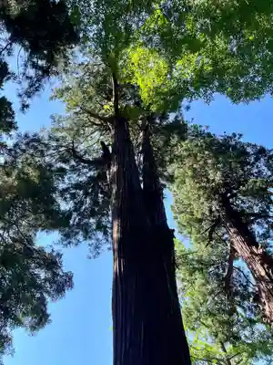 厳島神社（嚴島神社）(福島県)