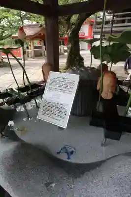 金剛宝寺（紀三井寺）(和歌山県)