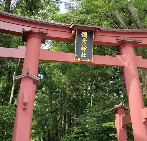 彌彦神社の鳥居