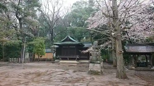 石神井氷川神社の本殿・本堂
