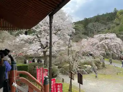 醍醐寺(京都府)