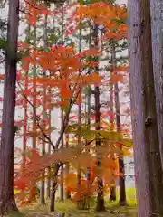 賀茂神社(宮城県)